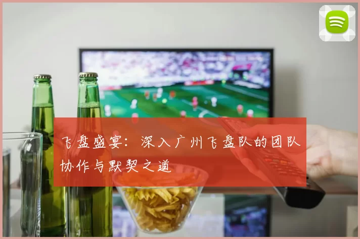 飞盘盛宴:深入广州飞盘队的团队协作与默契之道