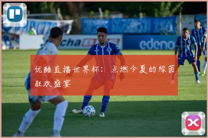 优酷直播世界杯:点燃今夏的绿茵狂欢盛宴