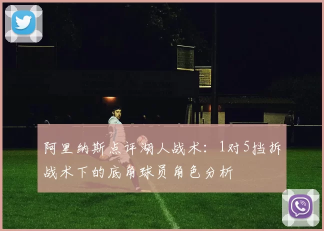 阿里纳斯点评湖人战术：1对5挡拆战术下的底角球员角色分析