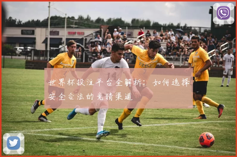 世界杯投注平台全解析：如何选择安全合法的竞猜渠道