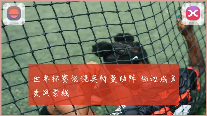 世界杯赛场现奥特曼助阵 场边成另类风景线