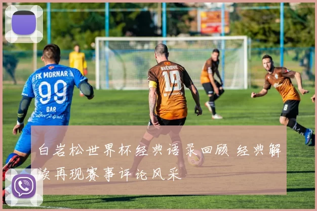 白岩松世界杯经典语录回顾 经典解读再现赛事评论风采