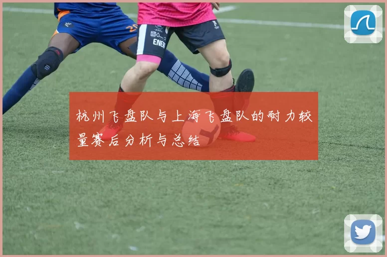 杭州飞盘队与上海飞盘队的耐力较量赛后分析与总结