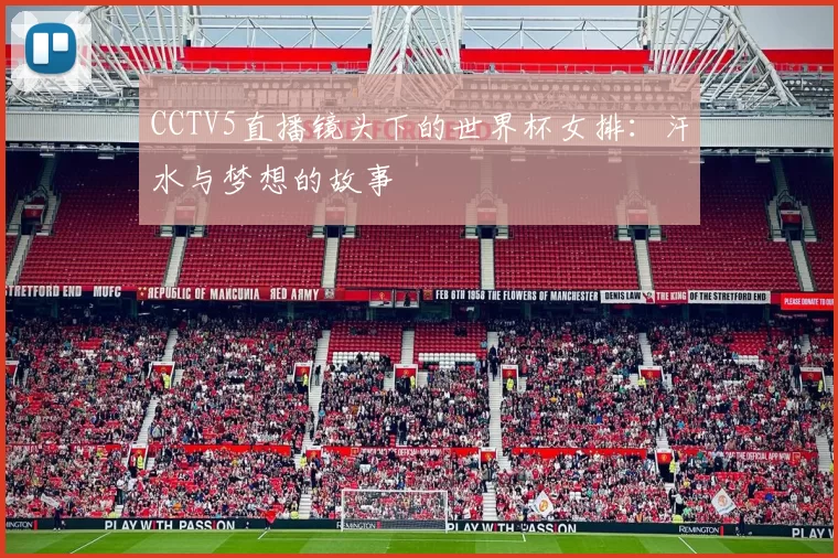 CCTV5直播镜头下的世界杯女排:汗水与梦想的故事