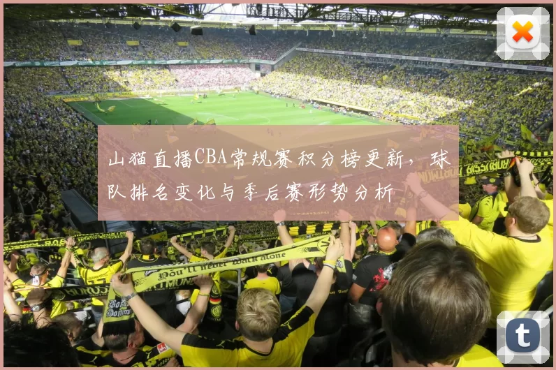 山猫直播CBA常规赛积分榜更新，球队排名变化与季后赛形势分析