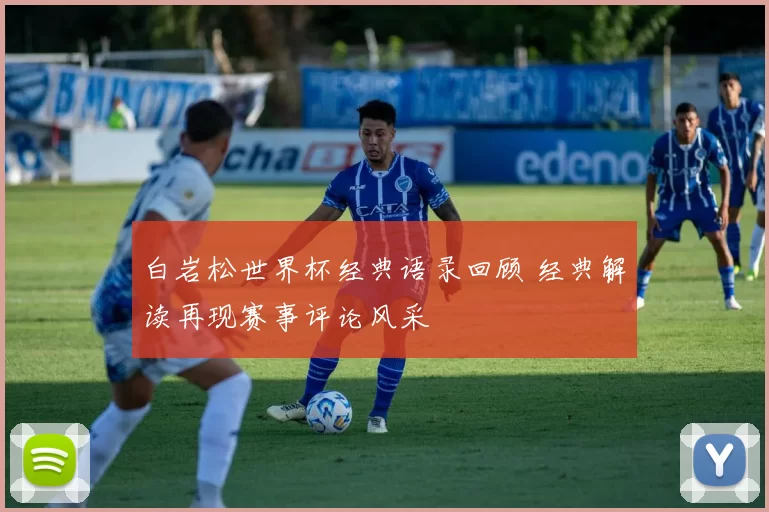 白岩松世界杯经典语录回顾 经典解读再现赛事评论风采