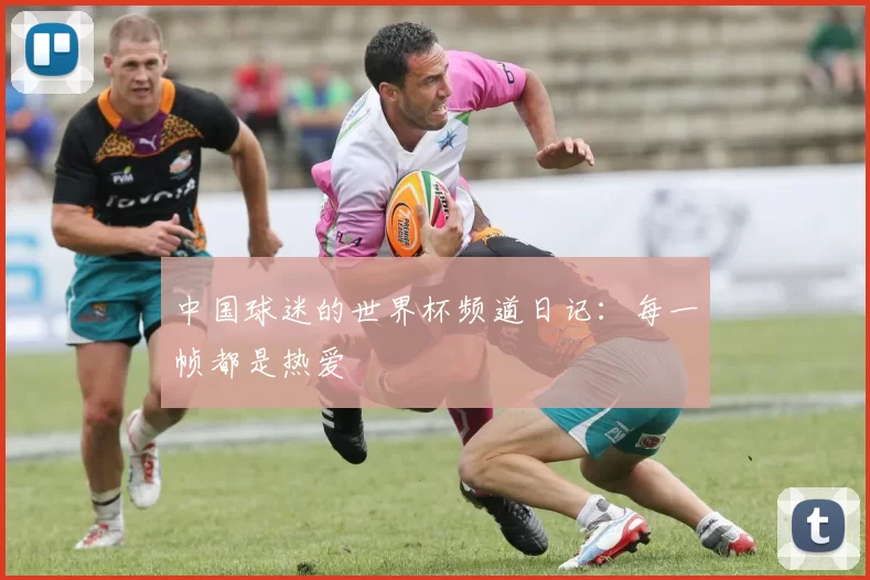 中国球迷的世界杯频道日记:每一帧都是热爱
