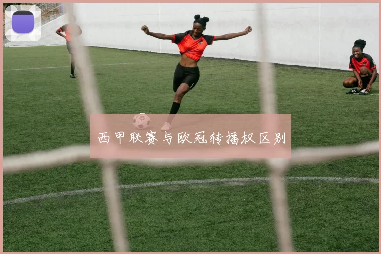西甲联赛与欧冠转播权区别