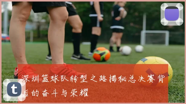 深圳篮球队转型之路揭秘总决赛背后的奋斗与荣耀
