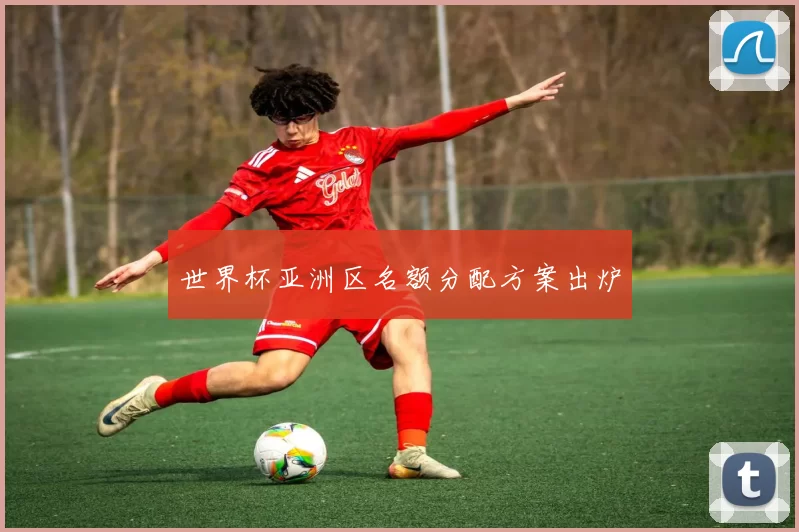 世界杯亚洲区名额分配方案出炉