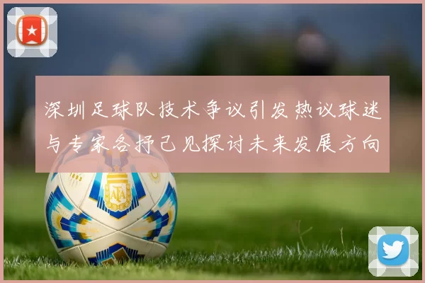 深圳足球队技术争议引发热议球迷与专家各抒己见探讨未来发展方向