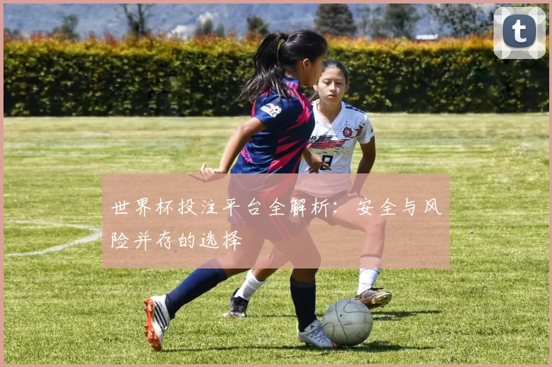 世界杯投注平台全解析:安全与风险并存的选择