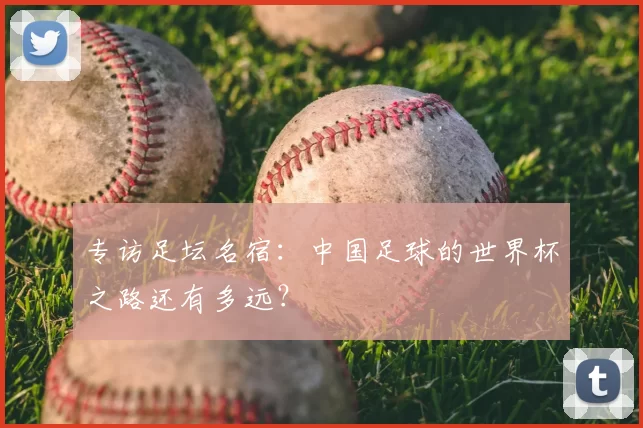 专访足坛名宿:中国足球的世界杯之路还有多远?