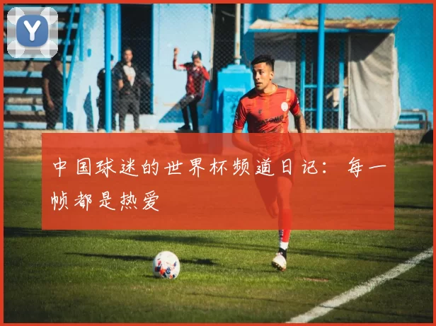 中国球迷的世界杯频道日记：每一帧都是热爱