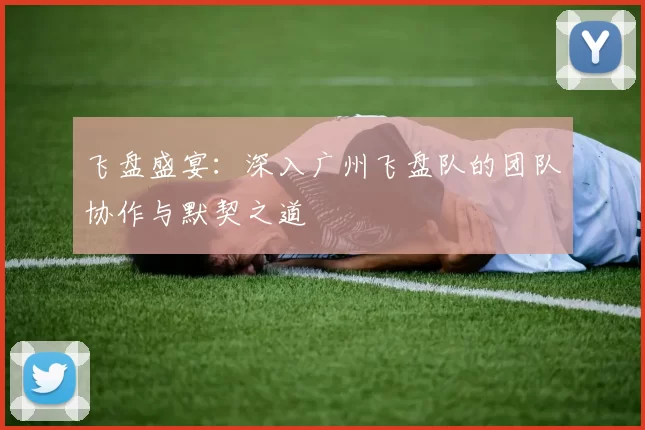 飞盘盛宴：深入广州飞盘队的团队协作与默契之道